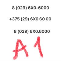 Красивый номер А1 (29) 6X0-6000