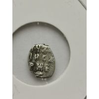 185. Копейки чешуйка