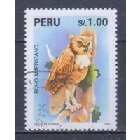 [964] Перу 1995. Фауна.Хищные птицы.Филин. Гашеная марка.