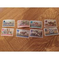 Малуку Селатан серия марок 1953г. Фауна.