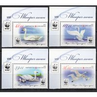 Киргизия 2015.Птицы WWF Лебеди 4 марки (564)