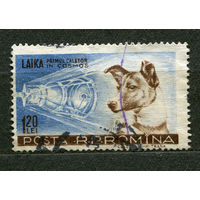 Космос. Собака Лайка. 1957