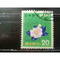 Япония, 1972. Стандарт. Японская камелия