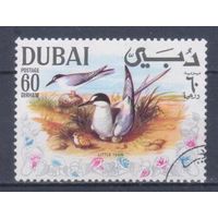[771] Дубай 1968. Фауна.Птицы.Крачки. Гашеная марка.