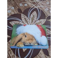 Кролик,украина,2011