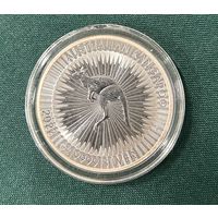 Кенгуру Австралия