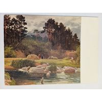 1957. Сагритс. Перед дождём