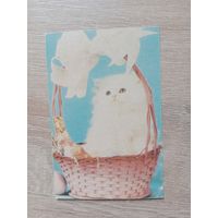 Календарик 1992