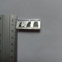 Значок Петропавловск Камчатский