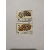 СССР 1977г.
