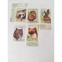 Беларусь 2008  5 м дик.животные