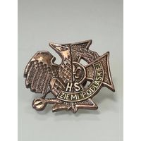 Знак нагрудный Польша медаль. Много Лотов с рубля