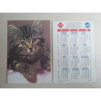 Карманный календарик.Кошки.1995 год