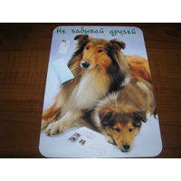 Не забывай друзей Собаки Колли 2001 год Двойная подписана