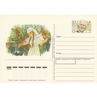 Россия 1993 ПК с ОМ 100 лет со дня рождения А.А, Пластова (к3)