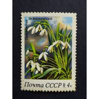 1983 СССР. Флора. Цветы. Подснежник белоснежный