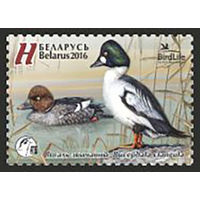 Марка" Гоголь обыкновенный" No по кат. РБ 1113