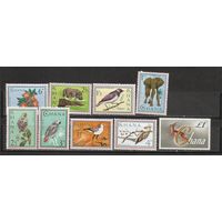 ФФ1 Гана 1964 Фауна