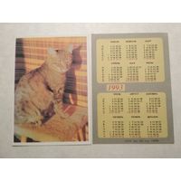 Карманный календарик. Котик. 1993 год