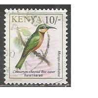 Кения. Птицы. Синегрудая щурка. 1993г. Mi#580.