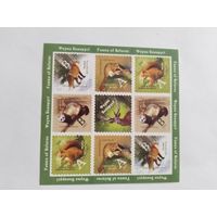 Беларусь 2007  м/лист дик.звери