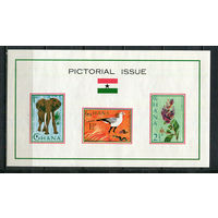 Гана - 1964 - Флора и фауна - (пятно на клее) - [Mi. bl. 14] - 1 блок. MNH.  (Лот 33JL)-TG2P45