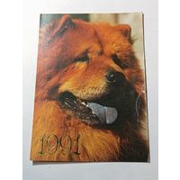 Карманный календарик  . Собаки . 1991 года .