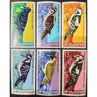 Болгария 1978. Фауна. Дятлы. Полная серия