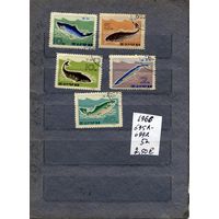 КНДР, 1966,  РЫБЫ,     серия 5м  гашен