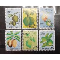 Лаос. 1989 год. Флора. Плоды (1303)