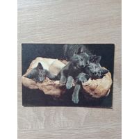 Календарик 1992