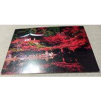 Посткроссинг. Открытка. Прошла почту. Редкий штемпель Орши.