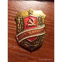 Знак значок Дружинник