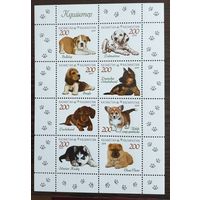 2019 Щенки Казахстан