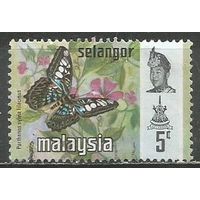 Малайские штаты(Селангор). Бабочка. Сильвия тигровая. 1971г. Mi#107.