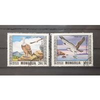 Монголия. 1976 год. Фауна. Хищные птицы (2 марки из серии)