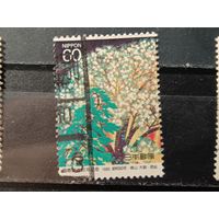 Япония, 1985. Живопись. Цветущая сакура