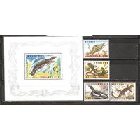 ФФ1 Бельгия 1965 Фауна