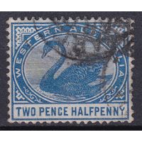 149а.Aust. Великобритания. Австралийские штаты. Западная Австралия. Чёрный лебедь. Стандарт. 1890/93 гг. 2 1/2p. Mi.#36.