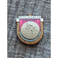 Чемпион области
