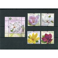 Молдавия 2025. Фауна. Цветы. Магнолия