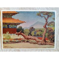 1959. Титков. Пекин. Дерево - дракон возле гробниц династии Мин