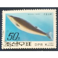КНДР 1992 киты, животные моря 1 из 6.