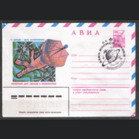 СПГ на ХМ конверте. 1980. День космонавтики.