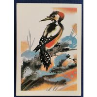 Каневский В. Дятел. 1985 г. Мини. Чистая