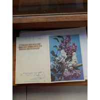 Телеграмма СССР серия Г-33 ППФГ 1968