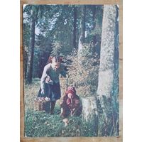 Ананьин М. Сбор грибов. 1954 ПК. Чистая.