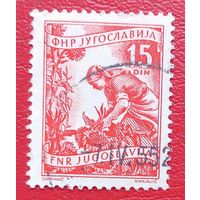 Югославия, 1951 г., стандартный выпуск