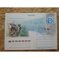 СГ Беларусь. 2012. Беловежская пуща. Дятел