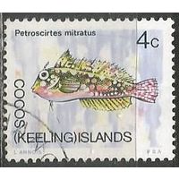 Кокосовые острова. Рыба Собачка. 1969г. Mi11.